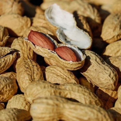 Fıstık